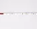 Светодиодная лента Ambrella Light LED Strip 24В 2835 6Вт/м 6500K 5м IP20 GS3003