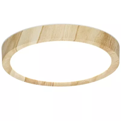 Потолочный светильник Citilux Бейсик CL738122N