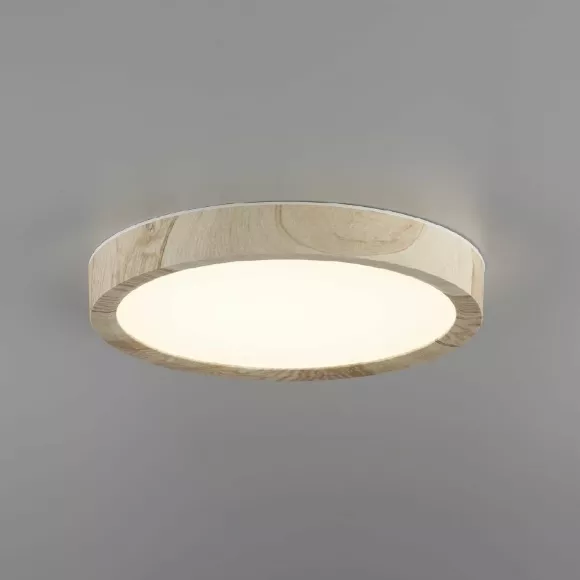 Потолочный светильник Citilux Бейсик CL738122N Потолочный светильник Citilux Бейсик CL738122N