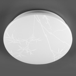 Потолочный светильник General Reed GSMCL-019-24 800258