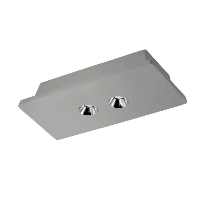 Потолочный светильник Loft IT Architect OL1072-GH/2