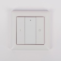 Настенная радиопанель SWG ES-B-W-K2-Z1 013295