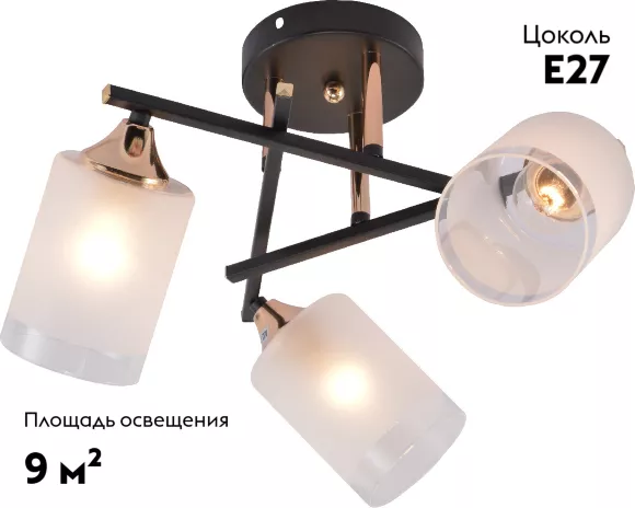 Потолочная люстра Rivoli Fiona 3163-303 Б0059259, Черный, Белый, Металл