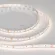 Светодиодная лента Arlight MICROLED-5000 24V White-CDW 8mm (2216, 240 LED/m, Bipolar) 024507