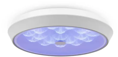 Потолочный светильник Freya Cells FR10012CL-L24W