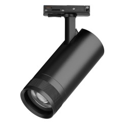 Трековый светильник для однофазного/трехфазного шинопровода Barra 20-55G с тонким адаптером Lightstar Canno Pro C4207SS