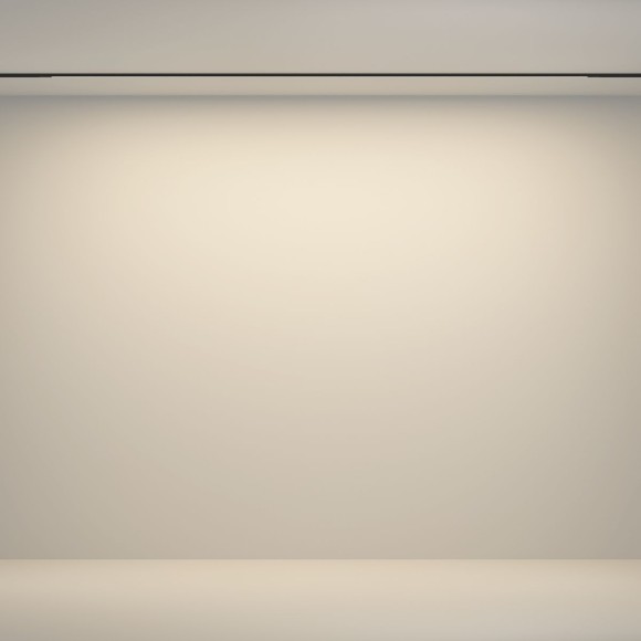 Трековый магнитный светильник Maytoni Flex TR180-1-24WTW-B