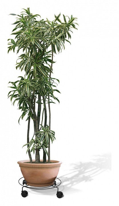 Подставка для цветов Пальмина 3 She_563372