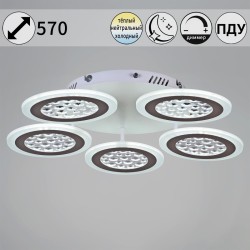 Потолочная светодиодная люстра с пультом управления Reluce 20491-0.3-05 WT