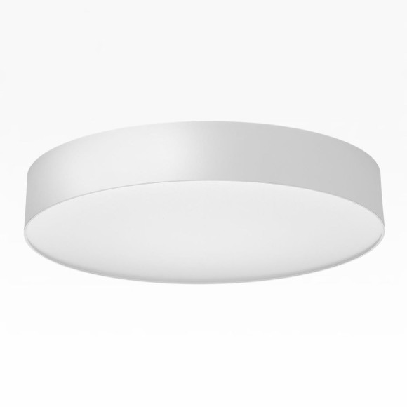 Потолочный светильник Citilux Bart CL755390