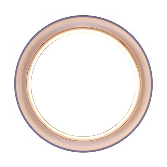 Настенно-потолочный светильник Reluce 81151-9.5-001QL WH