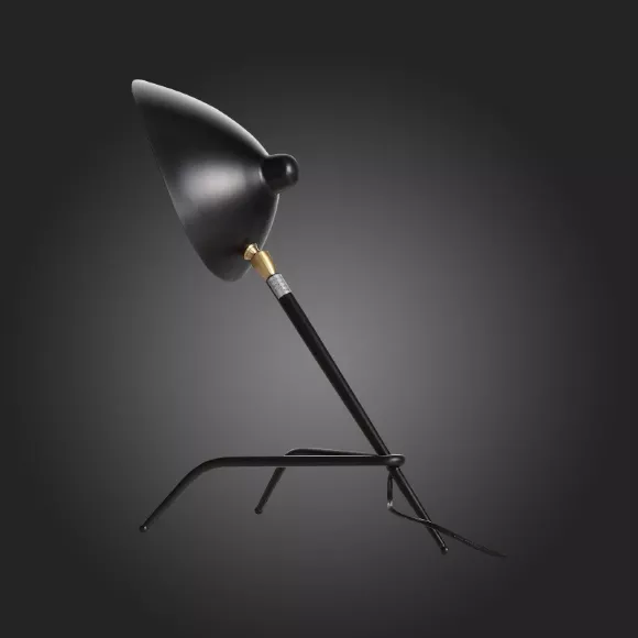 Настольная лампа ST-Luce SL305.404.01 Настольная лампа ST-Luce SL305.404.01