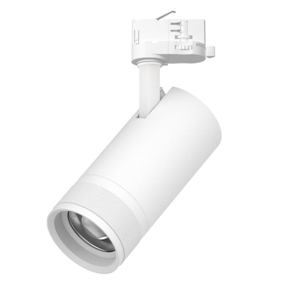 Трековый трехфазный светильник Quattro 20-55G с адаптером Lightstar Canno Pro C4306QT