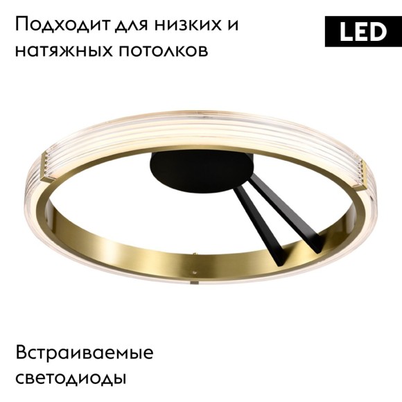 Потолочная светодиодная люстра Lightstar Rotonda 736041