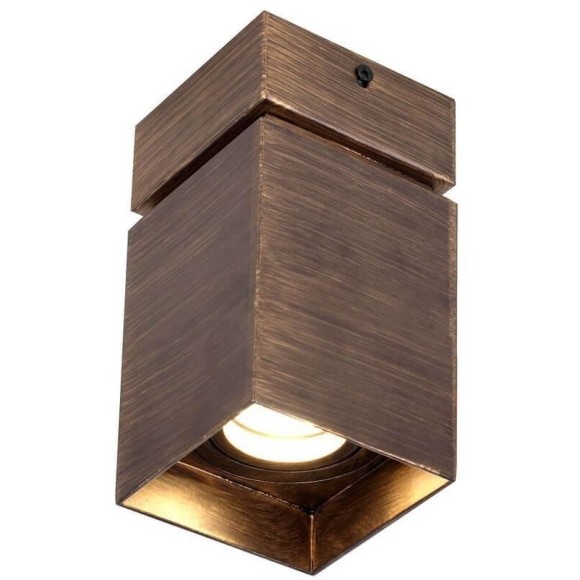 Накладной светильник Favourite Retro 2794-1U