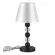 Настольная лампа ST Luce Aurora SL2003.404.01