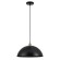Подвесной светильник Arte Lamp Cappello A7056SP-1BK
