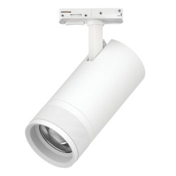 Трековый светильник для однофазного/трехфазного шинопровода Barra 20-55G с тонким адаптером Lightstar Canno Pro C4306SS