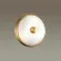 Настенно-потолочный светильник Odeon Light Pelow 4956/2, Бронза, Белый, Металл