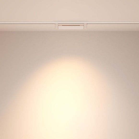 Трековый однофазный светильник Maytoni Points Rot TR010-1-10W3K-M-W