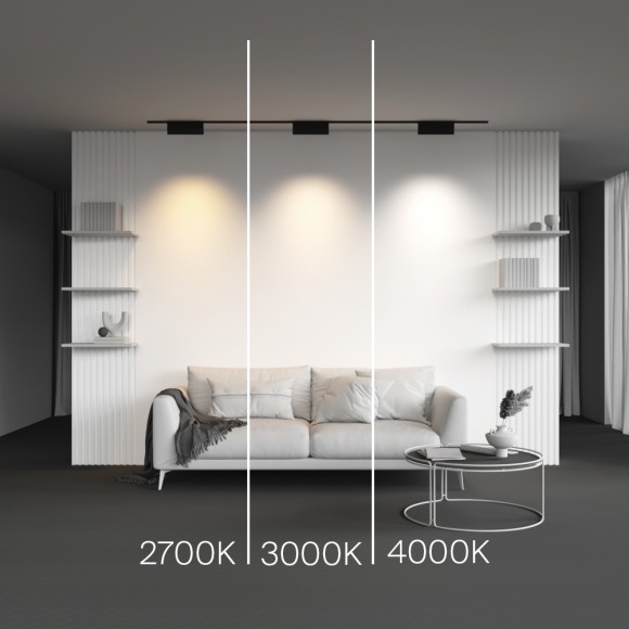 Трековый магнитный светильник Maytoni Points Rot TR194-1-12W2.7K-M-B