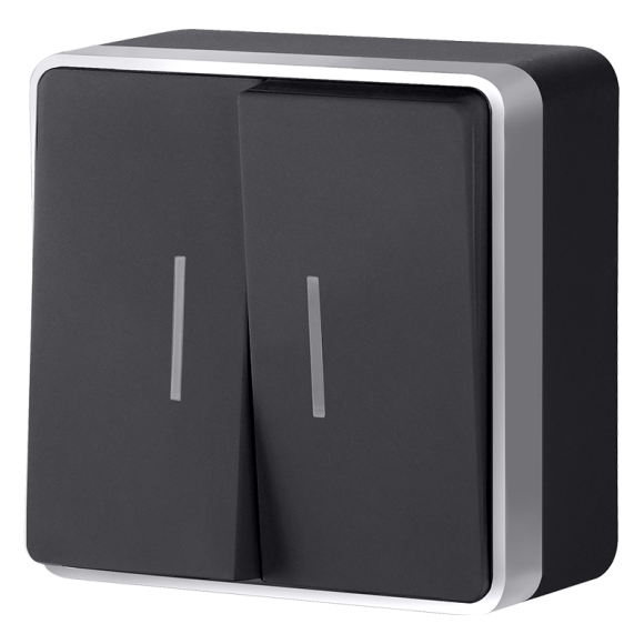 Выключатель двухклавишный с подсветкой Werkel Gallant (черный с серебром) W5020134 4690389164217 a051142