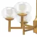 Подвесная люстра Lightstar Fiamma 730063, Матовое золото, Прозрачный, Золото