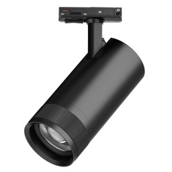 Трековый светильник для однофазного/трехфазного шинопровода Barra 20-55G с тонким адаптером Lightstar Canno Pro C4307SS