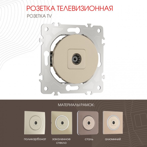 Розетка TV Arte Milano 202.43-1.shampan