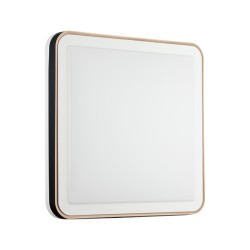 Настенно-потолочный светильник Sonex Akuna 7621/DL