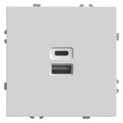 Розетка 2-местная USB + Type C Stekker RST10-5115-01 Эмили 49879