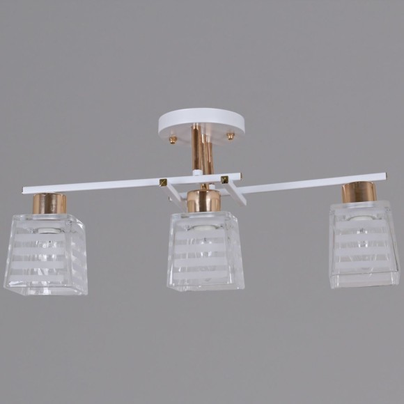 Потолочный светильник Reluce 09260-0.3-03 WH+FG