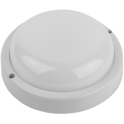 Настенно-потолочный светильник ЭРА SPB-201-2-65K-008 Б0047635