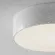 Уличный потолочный светильник Maytoni Zon IP O431CL-L30W4K, декоративные элементы крупным планом
