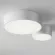 Уличный потолочный светильник Maytoni Zon IP O431CL-L30W4K, 4000, Нейтральный белый