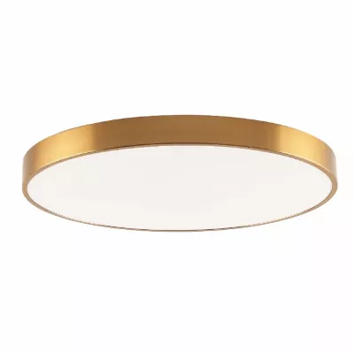 Потолочный светильник Zortes Tortty ZRS.02566.96