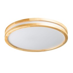 Потолочная светодиодная люстра De Markt Норден 660015401