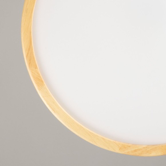 Потолочная светодиодная люстра De Markt Норден 660015401