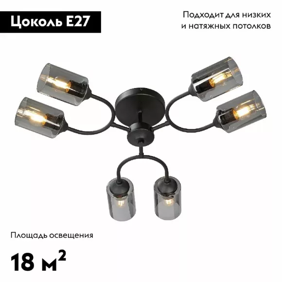 Потолочная люстра Vitaluce V2823-1/6PL, Черный, Дымчатый, Металл