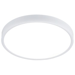 Потолочный светильник Elektrostandard DLR034 4690389134616