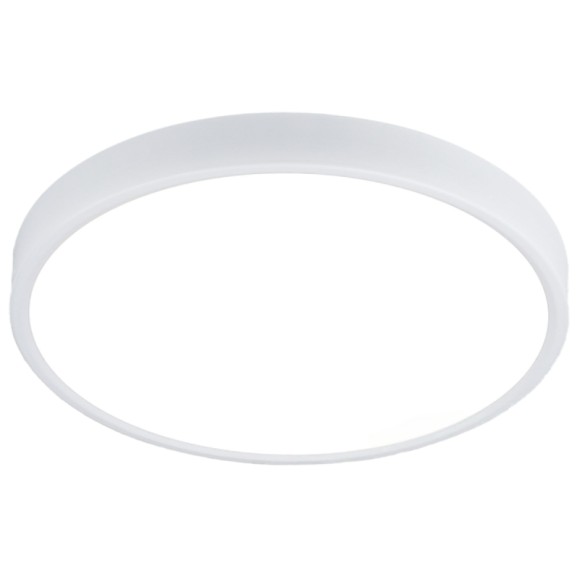 Потолочный светильник Elektrostandard DLR034 4690389134616