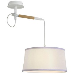 Настенно-потолочный светильник F-Promo Eureka 3005-1P