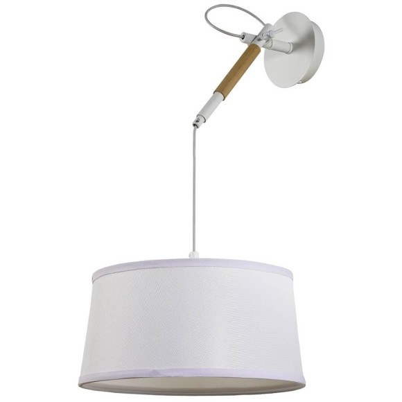 Настенно-потолочный светильник F-Promo Eureka 3005-1P