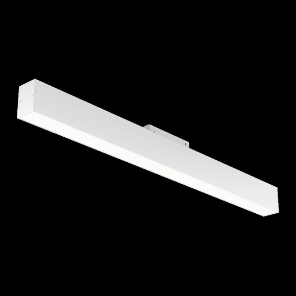 Трековый светильник Maytoni Technical BASIS TR012-2-20W4K-W