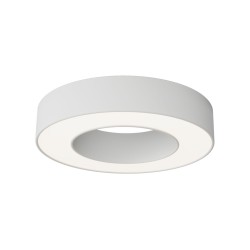 Потолочный светильник Maytoni Technical Lua C093CL-24W4K-W