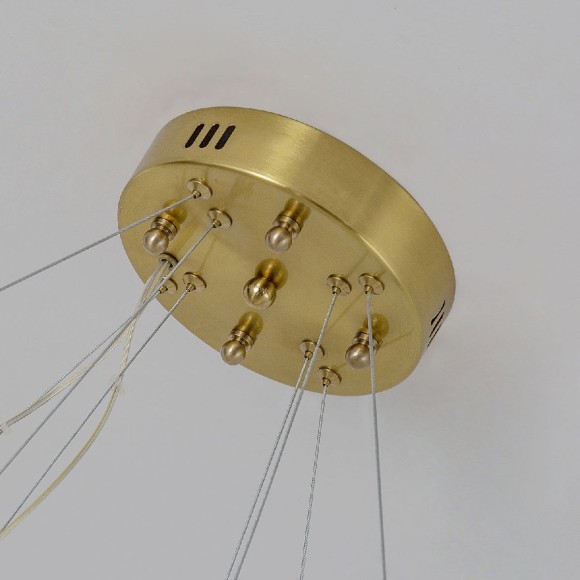 Подвесная светодиодная люстра Favourite Placerat 4012-12P