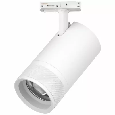 Трековый светильник для однофазного/трехфазного шинопровода Barra 20-55G с тонким адаптером Lightstar Canno Pro C4406SS
