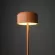 Торшер TK Lighting 19008 Noa Salmon a073036, Оранжевый, Теплый белый, Металл