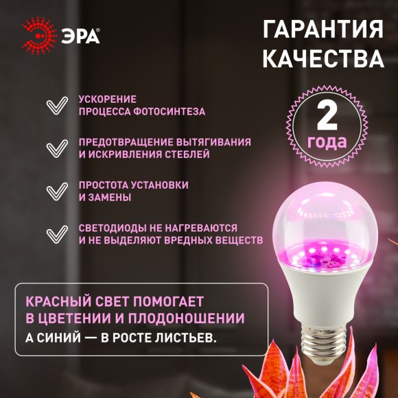 Фитолампа для растений Эра ФИТО A65-20W-PL-E27-GR Б0068597