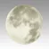 Настенно-потолочный светильник Sonex Pale Moon 3084/CLN
